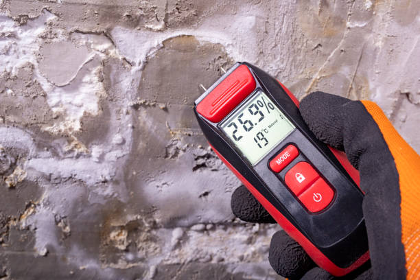 Best Mold Remediation  in Attleboro, MA