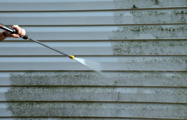 Best Mold Damage Repair  in Attleboro, MA